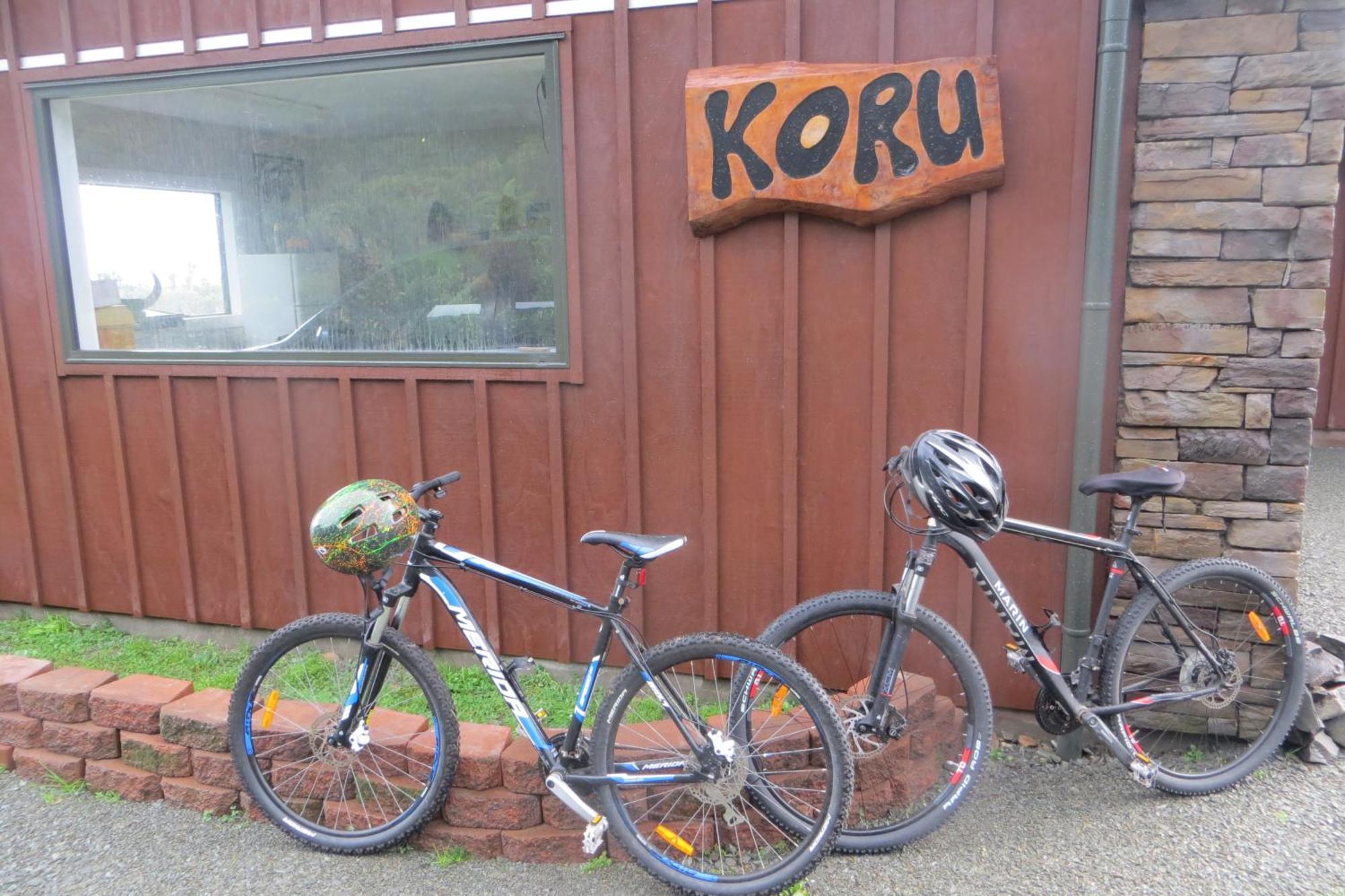 Koru Beachfront Holiday Cabins & Hot Tub Barrytown Zewnętrze zdjęcie